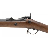 "U.S. Springfield Model 1884 Trapdoor rifle .45-70 (AL5431)" - 3 of 8