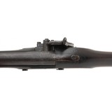 "D. Nippes 1840 conversion musket (AL7321)" - 6 of 8