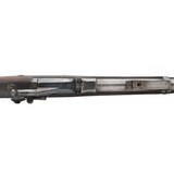 "U.S. Springfield Model 1884 ""carbine"" .45-70 (AL7273)" - 3 of 7