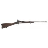 "U.S. Springfield Model 1884 ""carbine"" .45-70 (AL7273)" - 1 of 7