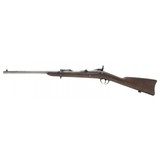 "U.S. Springfield Model 1884 ""carbine"" .45-70 (AL7273)" - 6 of 7
