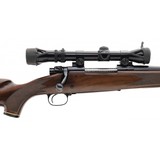 "Winchester 70 .243 Win (W11849)" - 5 of 5