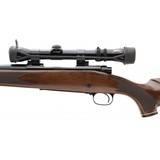 "Winchester 70 .243 Win (W11849)" - 3 of 5