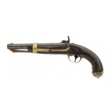 "Palmetto Armory Model 1842 Percussion pistol (AH8028)" - 7 of 7