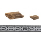 "Piece of Wood from Wyatt Earp’s Ashes (WEC171)" - 1 of 1