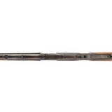 "Winchester Model 1873 .38 W.C.F. (AW248)" - 1 of 9