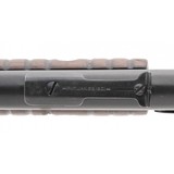 "Winchester 1906 .22S,L,LR (W11743)" - 5 of 8