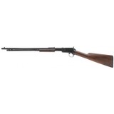 "Winchester 1906 .22S,L,LR (W11743)" - 7 of 8