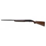 "Winchester 59 12 Gauge (W11682)" - 3 of 4