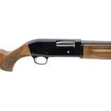 "Ithaca/SKB 300 12 Gauge (S14139)" - 5 of 5