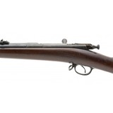 "U.S. Springfield Model 1882 Chaffee-Reese Rifle chambered in .45-70 (AL7447)" - 4 of 8