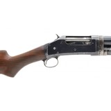 "Winchester 1897 12 Gauge (W11755)" - 5 of 6