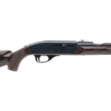 "Remington Nylon 66 .22LR (R31941)" - 4 of 4