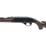 "Remington Nylon 66 .22LR (R31941)" - 2 of 4
