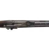 "U.S. Springfield Model 1884 trapdoor .45-70 (AL7450)" - 8 of 10