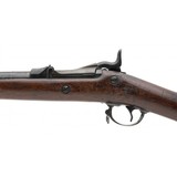 "U.S. Springfield Model 1884 trapdoor .45-70 (AL7450)" - 5 of 10