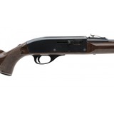 "Remington Nylon 66 .22LR (R32056)" - 4 of 4