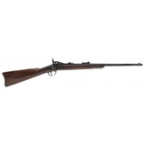 "U.S. Springfield Model 1877 trapdoor carbine .45-70 (AL7440)" - 1 of 6