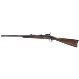 "U.S. Springfield Model 1877 trapdoor carbine .45-70 (AL7440)" - 5 of 6