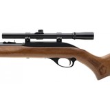 "Glenfield 60 .22LR (R31929)" - 4 of 4