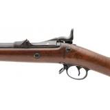 "U.S. Springfield model 1888 ram-rod trapdoor rifle .45-70 (AL7451)" - 5 of 10