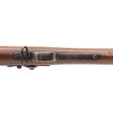 "U.S. Springfield model 1888 ram-rod trapdoor rifle .45-70 (AL7451)" - 3 of 10