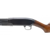 "Winchester 12 20 Gauge (W11759)" - 3 of 7