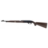 "Remington Nylon 66 .22LR (R32113)" - 4 of 4