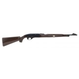"Remington Nylon 66 .22LR (R32113)" - 1 of 4