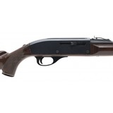 "Remington Nylon 66 .22LR (R32113)" - 2 of 4