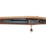 "Argentine Model 1909 Mauser in 7.65x53mm (R32118)" - 8 of 8