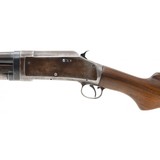 "Winchester 97 16 Gauge (W11772)" - 7 of 7