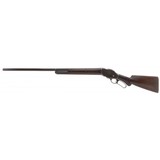 "Winchester 1887 12 Gauge (AW194) ATX" - 6 of 7