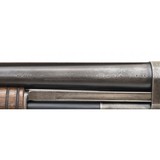 "Winchester 1912 16 Gauge (W11407)" - 7 of 7