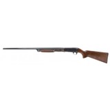 "Remington 17 20 Gauge (S14301)" - 4 of 4