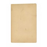 "Beautiful CDV photo of Lena Slaughter taken in Edina, MO Circa 1890s (WEC124)" - 2 of 2