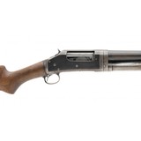 "Winchester 1897 12 Gauge (W11413)" - 5 of 5