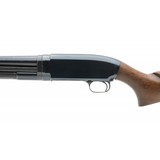 "Winchester 12 Pre-64 12 Gauge (W11418)" - 3 of 5