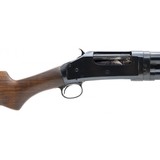 "Winchester 1897 12 Gauge (W11878)" - 5 of 7