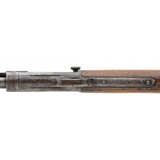 "Winchester 1890 .22 Short (W11884)" - 2 of 6