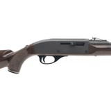 "Remington Nylon 66 .22LR (R32415)" - 4 of 4