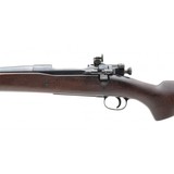"U.S. Model 1903 Sporter Rifle (R32237)" - 3 of 7