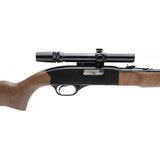 "Winchester 190 22LR (W11282)" - 5 of 5