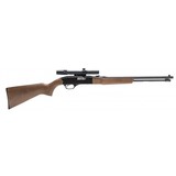 "Winchester 190 22LR (W11282)" - 1 of 5