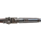 "Starr Percussion Carbine .54 caliber (AL7597)" - 4 of 8
