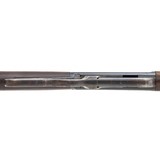 "Winchester Model 1895 Flatside .30 U.S. (AW269)" - 6 of 10