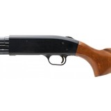 "Revelation R310C 20 Gauge (S14423)" - 3 of 4