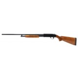 "Revelation R310C 20 Gauge (S14423)" - 4 of 4