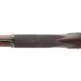 "British Pattern 1853 Volunteer (Sergeant's) Rifle (AL7349)" - 3 of 11