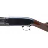 "Winchester 12 Standard Trap Pre-64 20 Gauge (W11899)" - 8 of 8